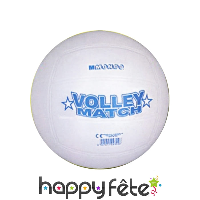 Ballon de volley