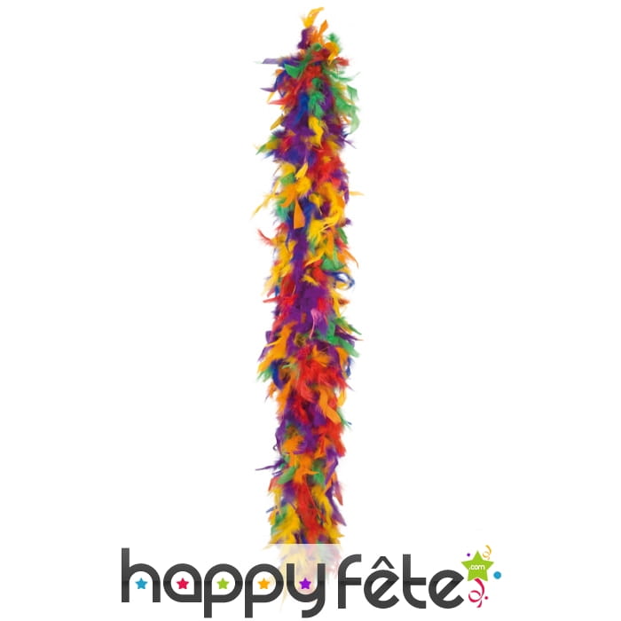 Boa plumes multicolore