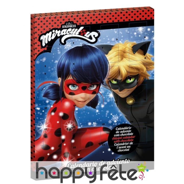 Calendrier de l'avent Ladybug et chat noir