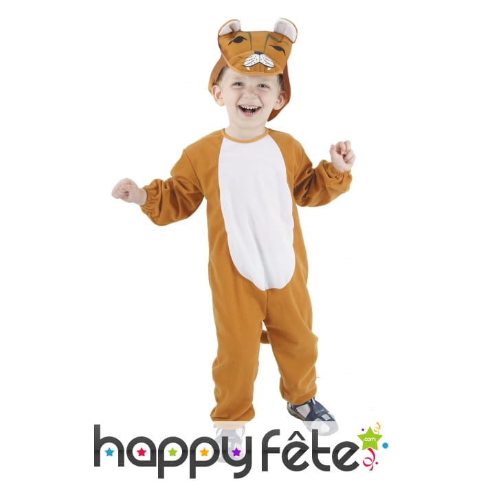 Costume de petit lion marron blanc