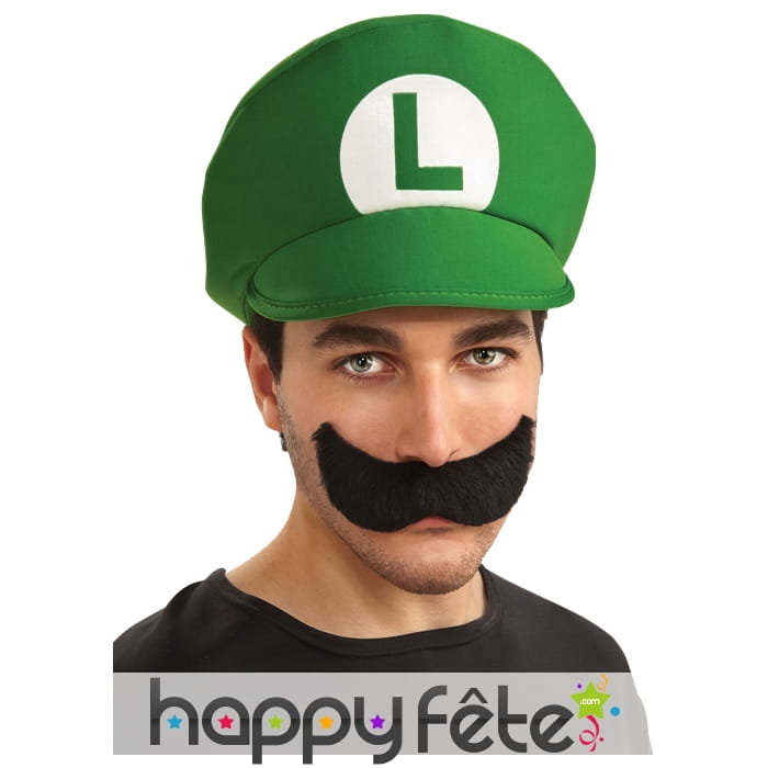 Chapeau et moustaches de luigi