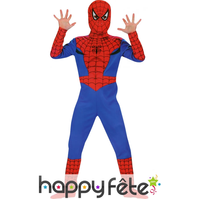 Costume Spiderman Licence