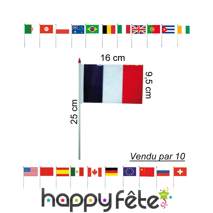 Drapeaux en plastique de 9.5 x 16 cm