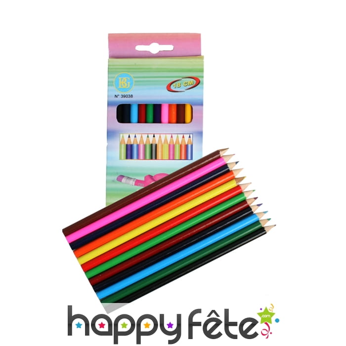 Etui de 12 crayons de couleurs (18 cm)