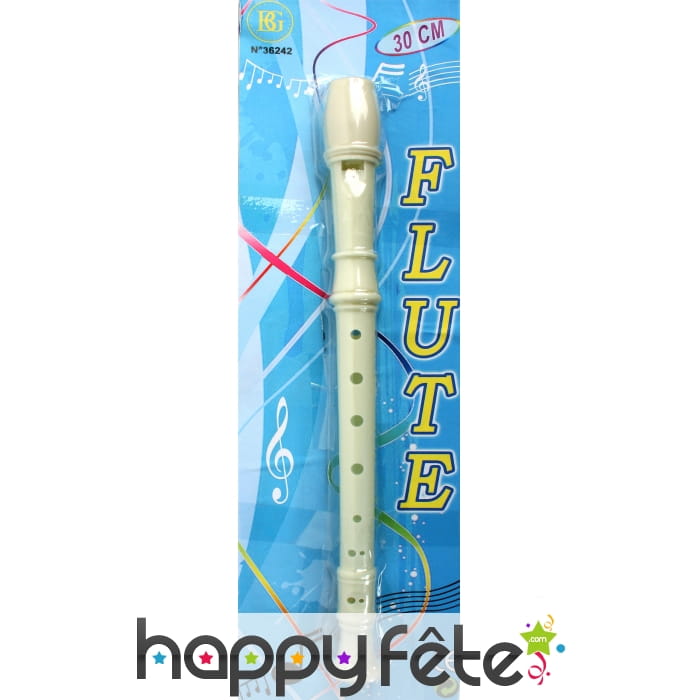 Flute en plastique