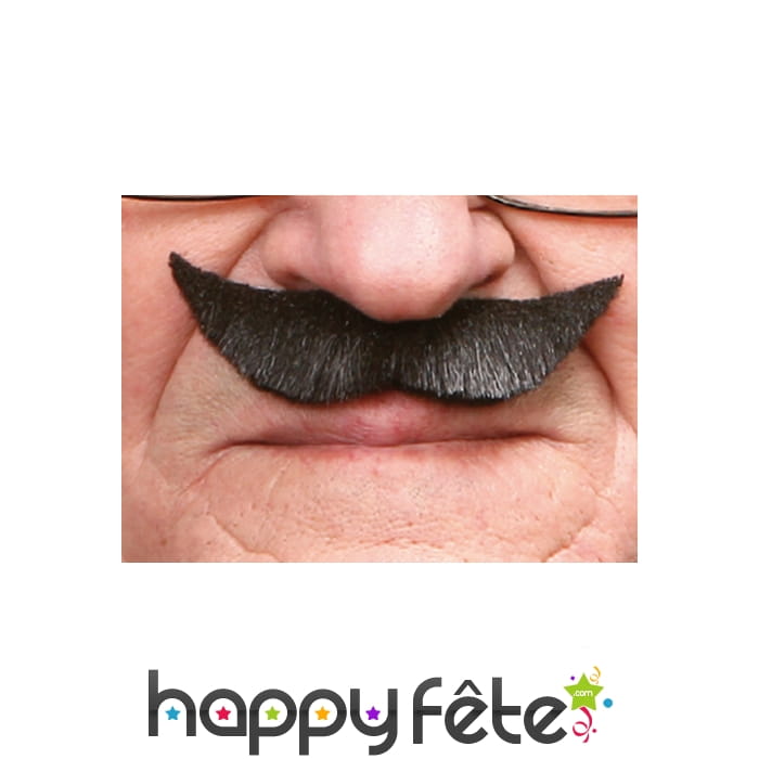 Moustaches anglaises