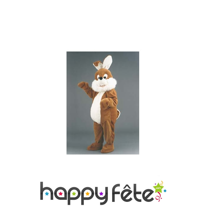 Mascotte lapin