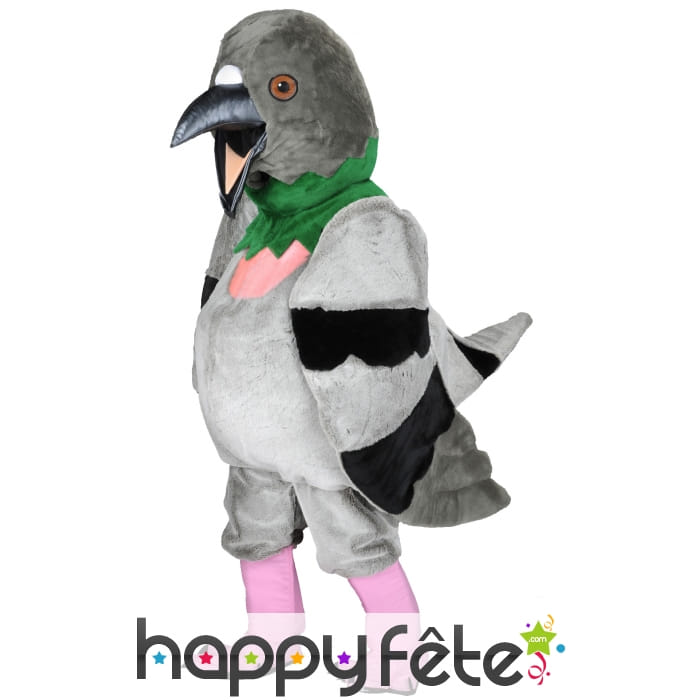 Mascotte pigeon