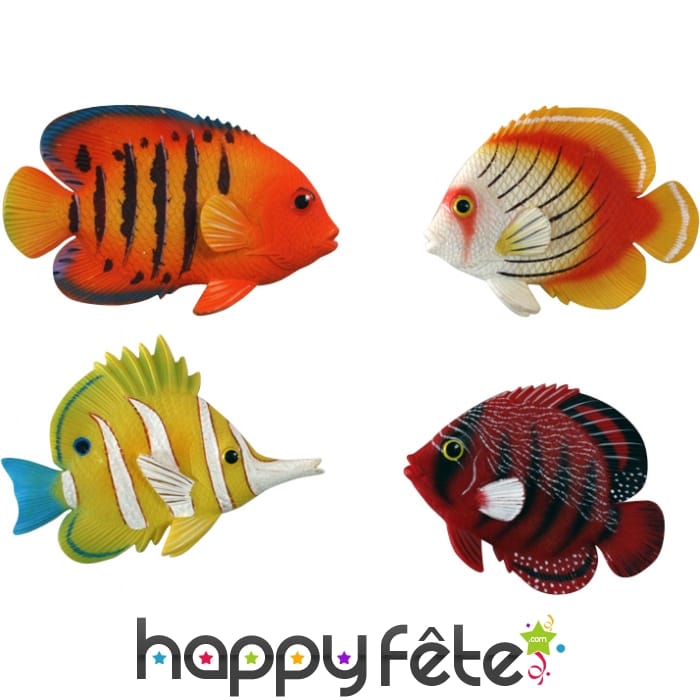 Magnet poisson tropical