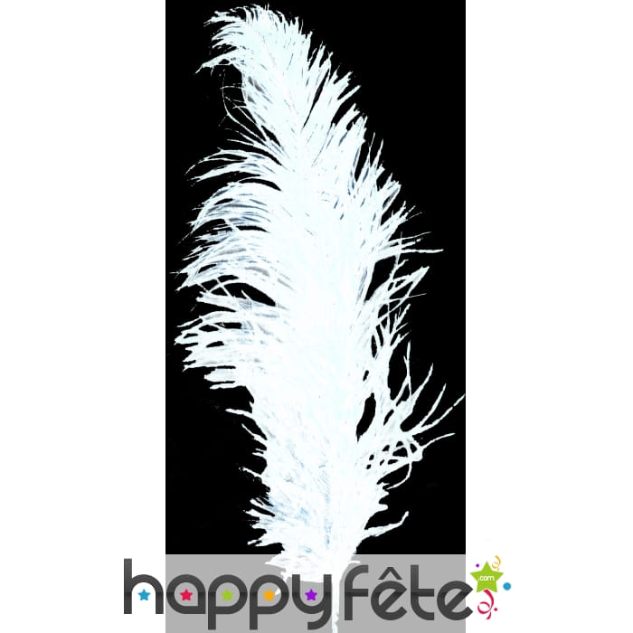 Plume autruche blanche 55/60 cm