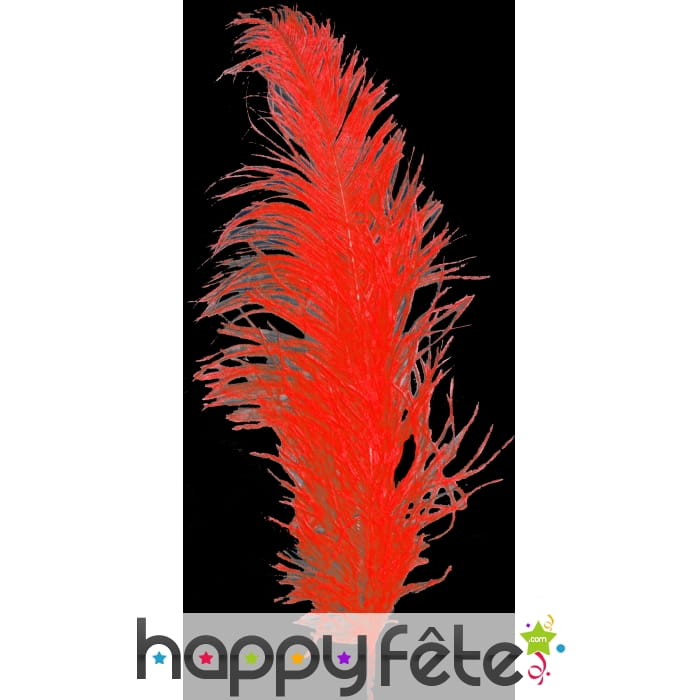 Plume autruche rouge 55/60 cm