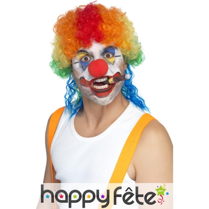 Perruque clown multicolore