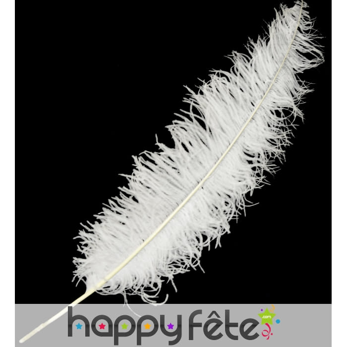 Plume d'autruche blanche