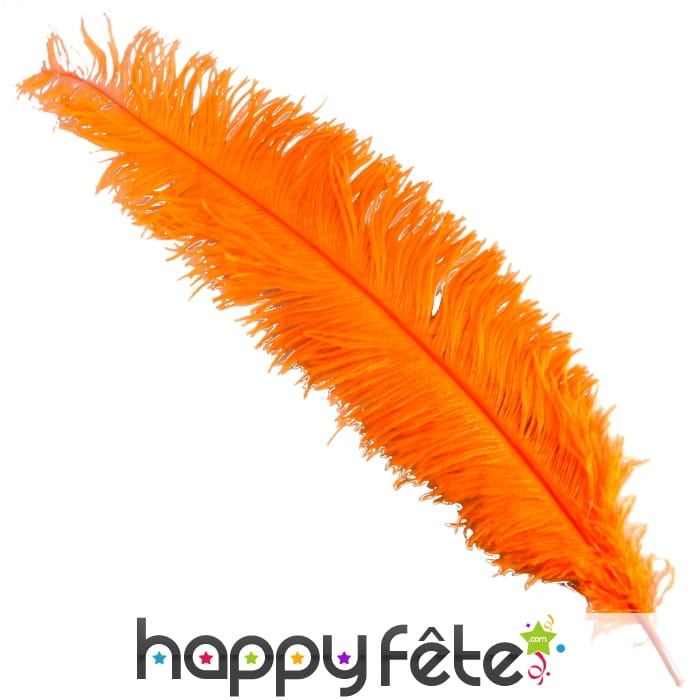 Plume d'autruche orange