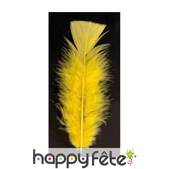 Sachet 100 plumes jaune pied plat 15 cm