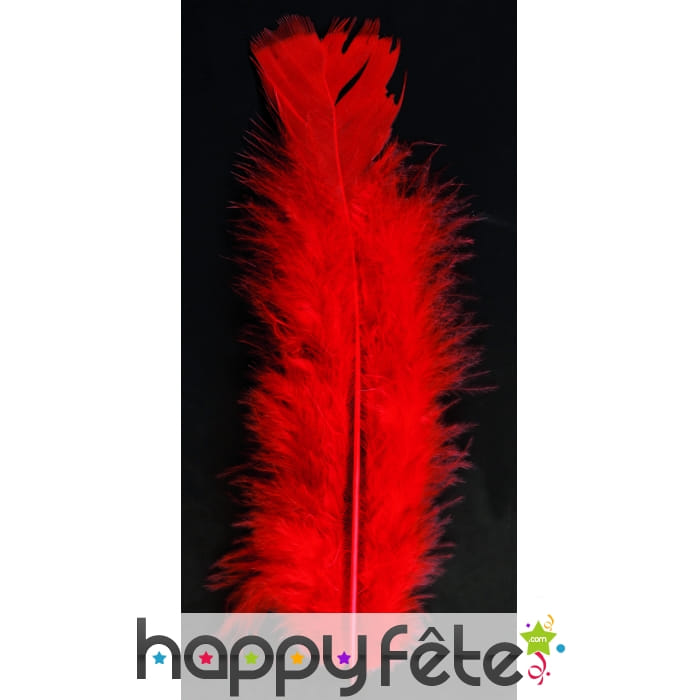 Sachet 100 plumes rouges pied plat 15cm