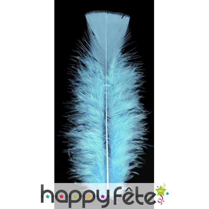 Sachet 150 plumes ciel pied plat 15 cm