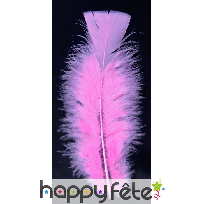 Sachet 150 plumes rose pied plat 15cm