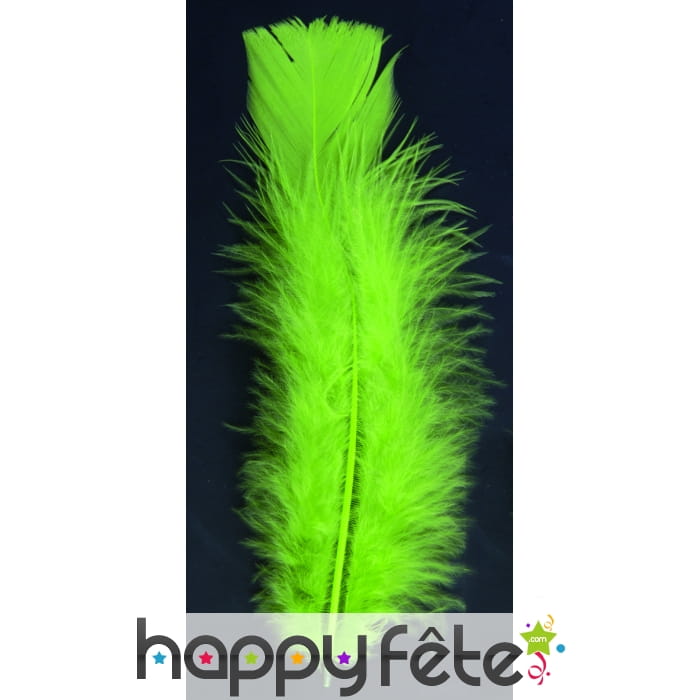 Sachet 150 plumes vert clair pied plat 15cm