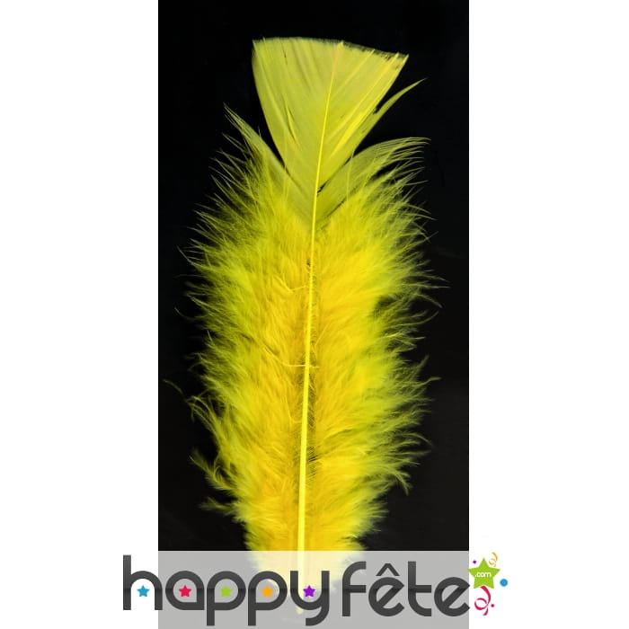 Sachet 50 plumes jaune pied plat 10 cm