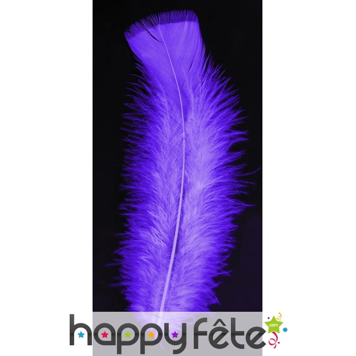 Sachet 50 plumes violet pied plat 10 cm