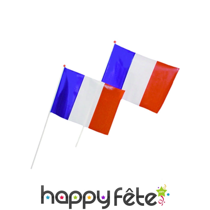 Sachet de 25 drapeaux français