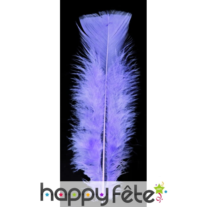 Sachet de plumes pied parmes