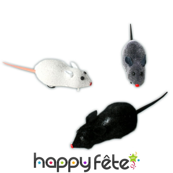 Souris rétro friction