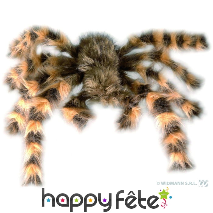 Tarantule flexible poilue