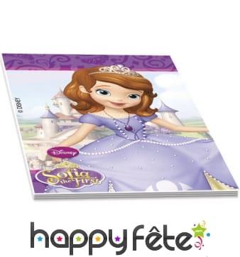 4 Carnets de note Princesse Sofia de 5 x 6 cm