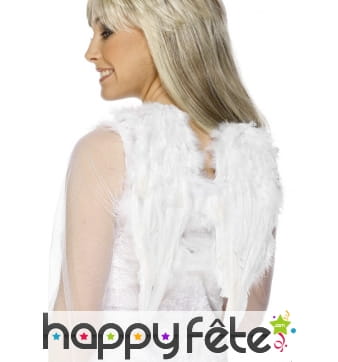 Ailes blanches en plumes ange