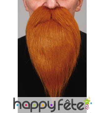 Barbe rousse de peintre avec moustaches