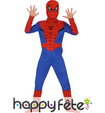 Costume Spiderman Licence