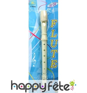 Flute en plastique