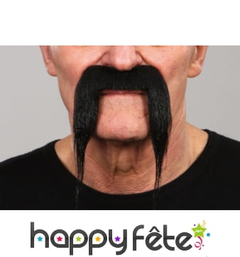 Fausses moustaches tombantes noires