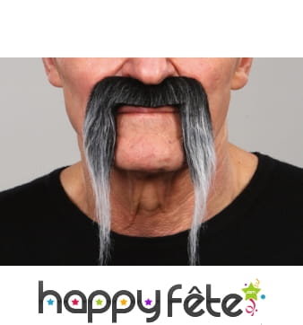 Fausses moustaches tombantes poivre et sel