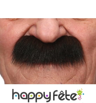 Grosses moustaches brunes de papy