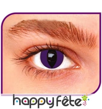 Lentilles chat contour violet