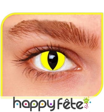 Lentilles chat jaune