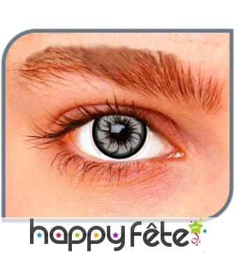 Lentilles fleur grise