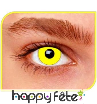 Lentilles jaunes