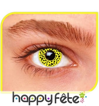 Lentilles jaunes tachetées de noir