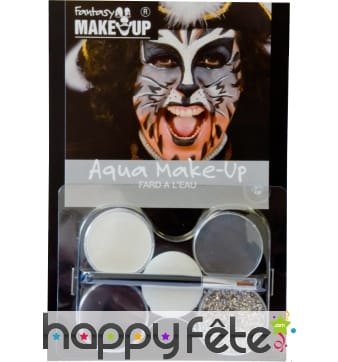 Maquillage de chat aquaexpress