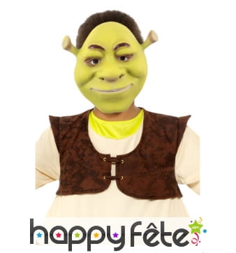 Masque facial de Shrek pour enfant