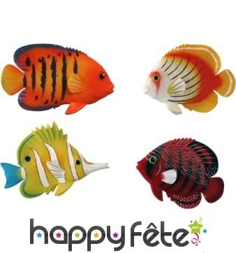 Magnet poisson tropical