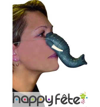 Nez d'elephant