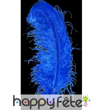 Plume autruche bleue extra 50 cm