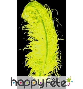 Plume autruche jaune extra 50 cm