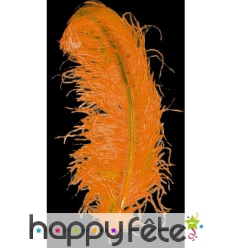 Plume autruche orange extra 50 cm