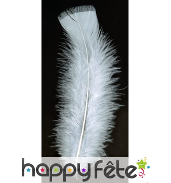 Sachet 100 plumes blanches pied plat 15 cm